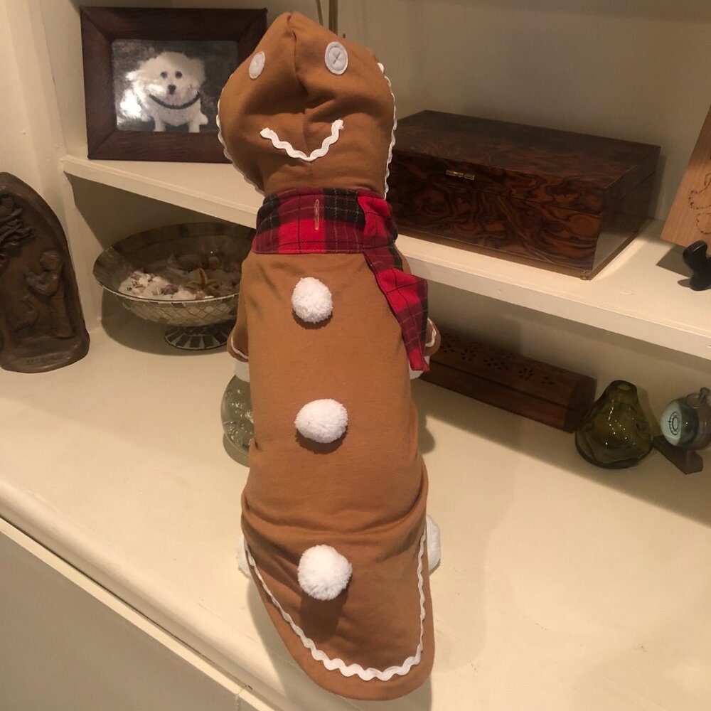 Martha Stewart Pets Gingebread Man Outfit Clothing for Dog Size Large - Picture 3 of 11